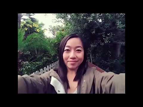 Low Budget Filmmaking (with Insta360 Camera)