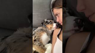 Kissing my Half Asleep Pup to See Her Reaction!