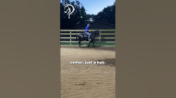 Quick Tips On How To Three Track Like A Pro! Part 4! | The Horse Guru - Michael Gascon