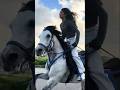 beautiful speed of horse