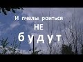 И пчелы роиться не будут