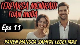 Chapter 11 Mango Harvest Until Its Sore