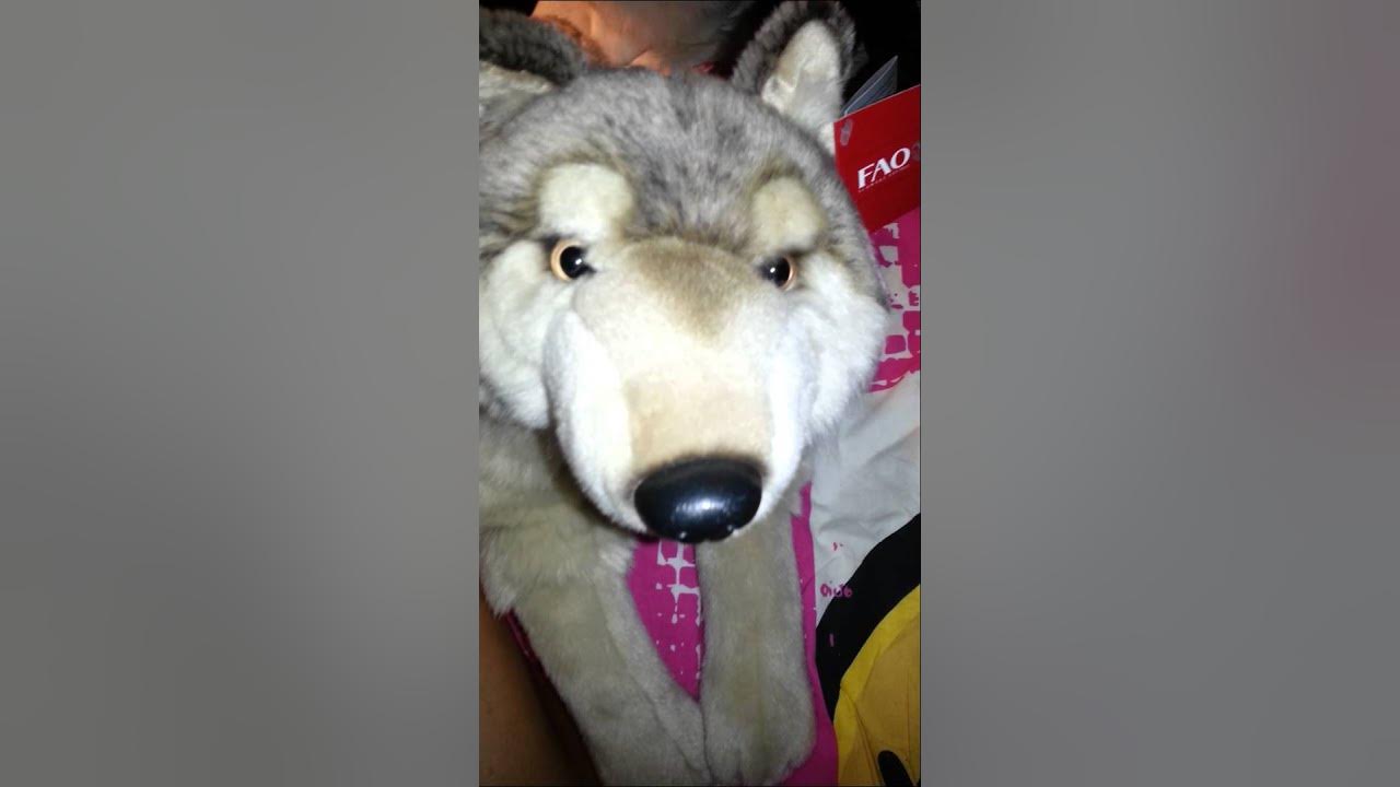 New Douglas Dogs, kinz, Wolf Plush & Other Dog Plushies YouTube