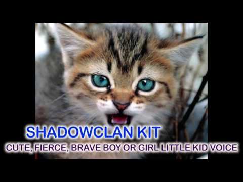 YOUNG KIT CASTING CALL! (CLOSED!) - YOUNG KIT CASTING CALL! (CLOSED!)