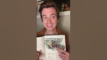 Are centaurs insects? #dnd #dungeonsanddragons #ttrpg