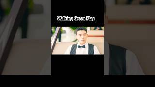 The Greenest Flag In Amidst A Snowstorm Of Love