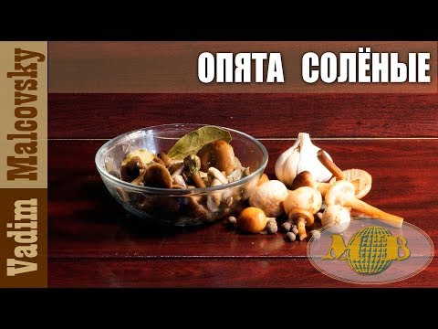 Опята солёные с чесноком или как засолить опята. Мальковский Вадим