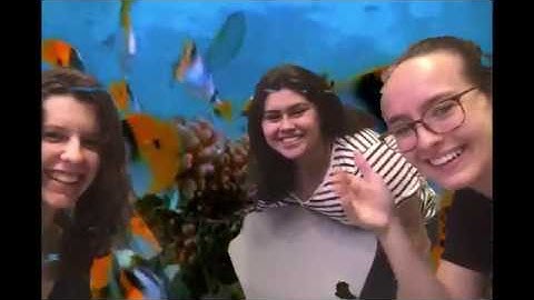 ASL 2 Final Video Project