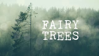 Fairy Tree Stories  Eight Strange Encounters with Fairies