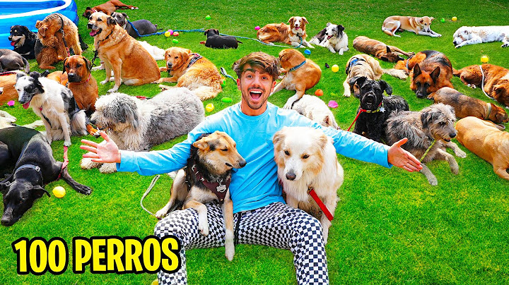 CONSTRUI UN PARQUE DE PERROS EN MI CASA!