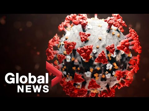 coronavirus-outbreak:-uk-and-new-zealand-under-lockdown