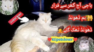 Mano gum hoge ajjj 🫣dond dond tahk ge @kepetslover8315 by KE Pets lover 107 views 7 days ago 6 minutes, 37 seconds