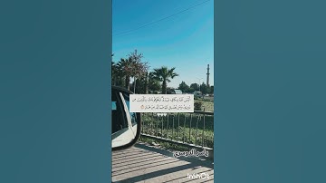 #القارئ #الشيخ #ياسر_الدوسري #قرآن #اكسبلور #لايك #متابعة #طمأنينه #تلاوة_هادئة #لايك #explore