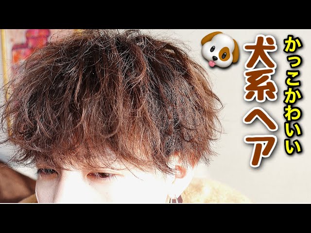 ヘアカット 一般学生を女子ウケ抜群の犬系男子に変身させる Youtube