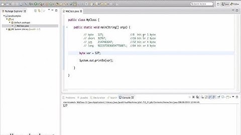 Переменные среды Java. Типы и объявление переменных.