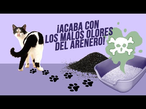 Video: Cubierta de la caja de arena gatito que parece un aparador pequeño