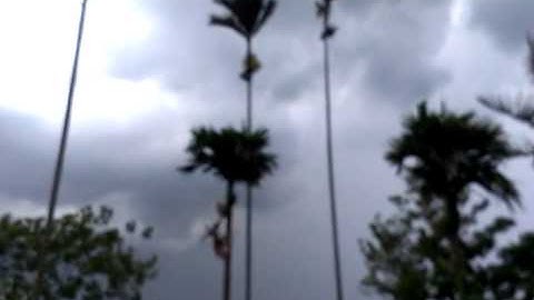 Cơn giông đầu muà.