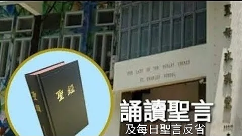 每日诵读圣言（玛28:1-9）2023年6月15日（四）- 新增“每日圣言反省” - 天天要闻