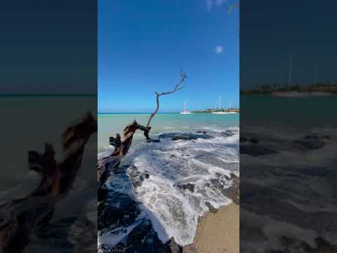 Vertical 4K Nature Film With Music The Beauty Of Big Island S Hawaii