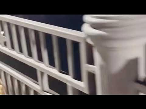 Ресейлік актрисалар порно фильмге түседі