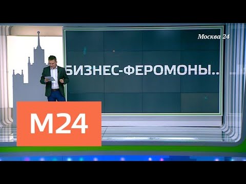 "Москва сегодня": проект бюджета столицы сохраняет социальную направленность - Москва 24