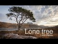 Photographing a lone tree at Loch Maree