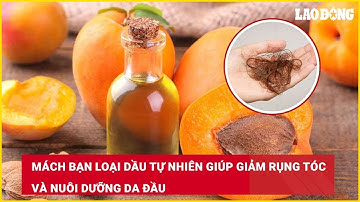 Mách bạn loại dầu tự nhiên giúp giảm rụng tóc và nuôi dưỡng da đầu| Báo Lao Động