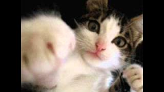 Download lagu Versions   The Brighter Side  jimpster dub mix 