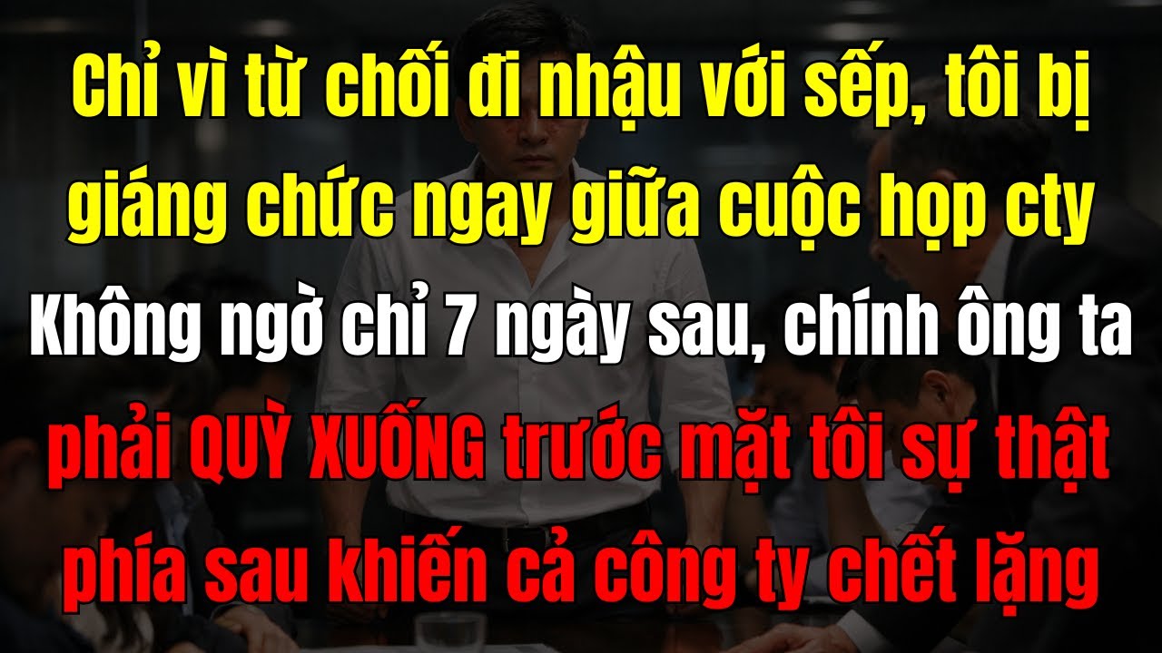 Tôi Từ Chối Đi Nhậu, Bị Sếp Giáng Chức Trước 20 Người Và Cái Kết Không Ai Ngờ Tới