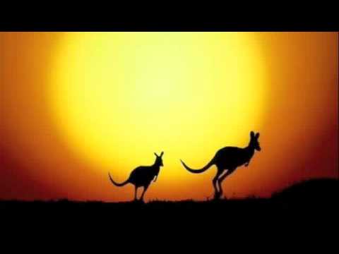 The Kangaroo Song