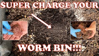 How to Boost Worm Bin Health & Production + Black Soldier Fly Larvae BSFL | Vermicompost Worm Farm