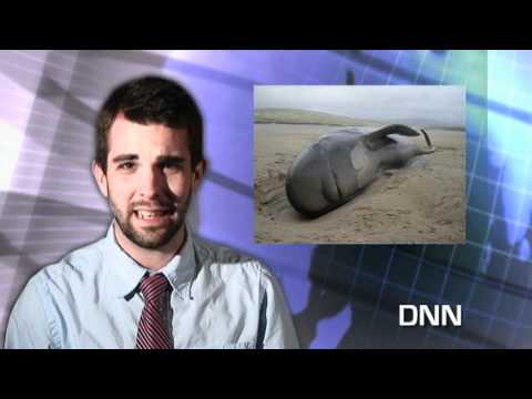 Drunken News Network (DNN) - UCO Friday Night Live...