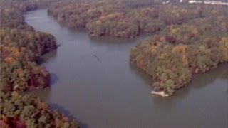 Sea Monster sighting in The Mariners' Museum's Loch Maury