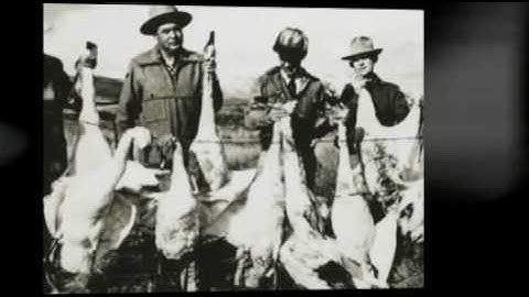 The Canvasback Decoy Gallery