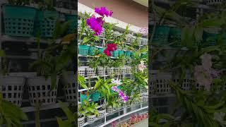 MY GARDEN BLOOMS