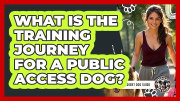 What Is The Training Journey For A Public Access Dog? - Obedient Dog Guide