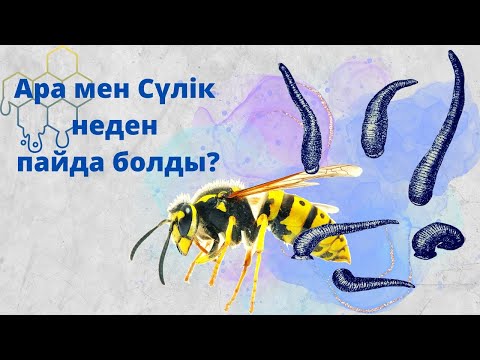 Бейне: Үнді тарихында данвантари кім болған?