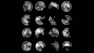 Monochrome Circles. Draw by openframeworks