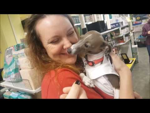 Video: Clorox Desinfeksjonsmiddel Tilgjengelig I Denne Dyrebutikken