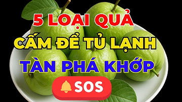 Bác Sĩ Khoa Xương Khớp CẢNH BÁO LOẠI QUẢ CẤM ĐỂ TỦ LẠNH Kẻo Sinh Độc Tố, CHÂN YẾU TỪNG NGÀY