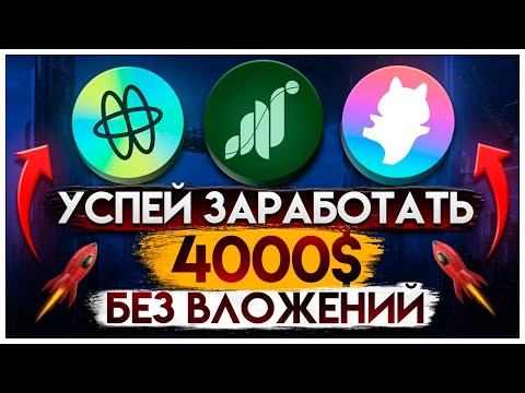 3 Лучших АИРДРОПА Без Вложений I Полная Инструкция