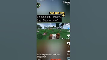 All SADDEST part of Survival Mini block craft Loveraladin,GamerJN, BBG (Edit) #miniblockcraft3d