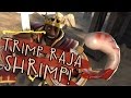 Team fortress 2 trimp raja shrimp