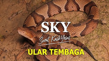 SURAT KASIH YESUS "ULAR TEMBAGA"