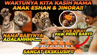 PEMBERIAN NAMA KE 2 BABY TIGER !