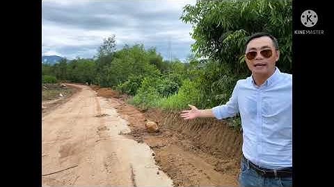 Vỡ nợ  Bán gấp lô đất vườn hiện đang trồng keo khoảng 4.5năm. Mảnh đất rộng 3ha8. Giá 56 000  VND/m2