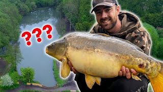 Test Fishing A NEW CARP LAKE - These Fish Have Never Seen A Bait! screenshot 2