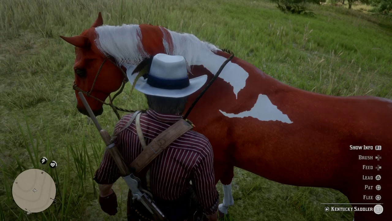 Red Dead Redemption 2 All Kentucky Saddler horse coats YouTube