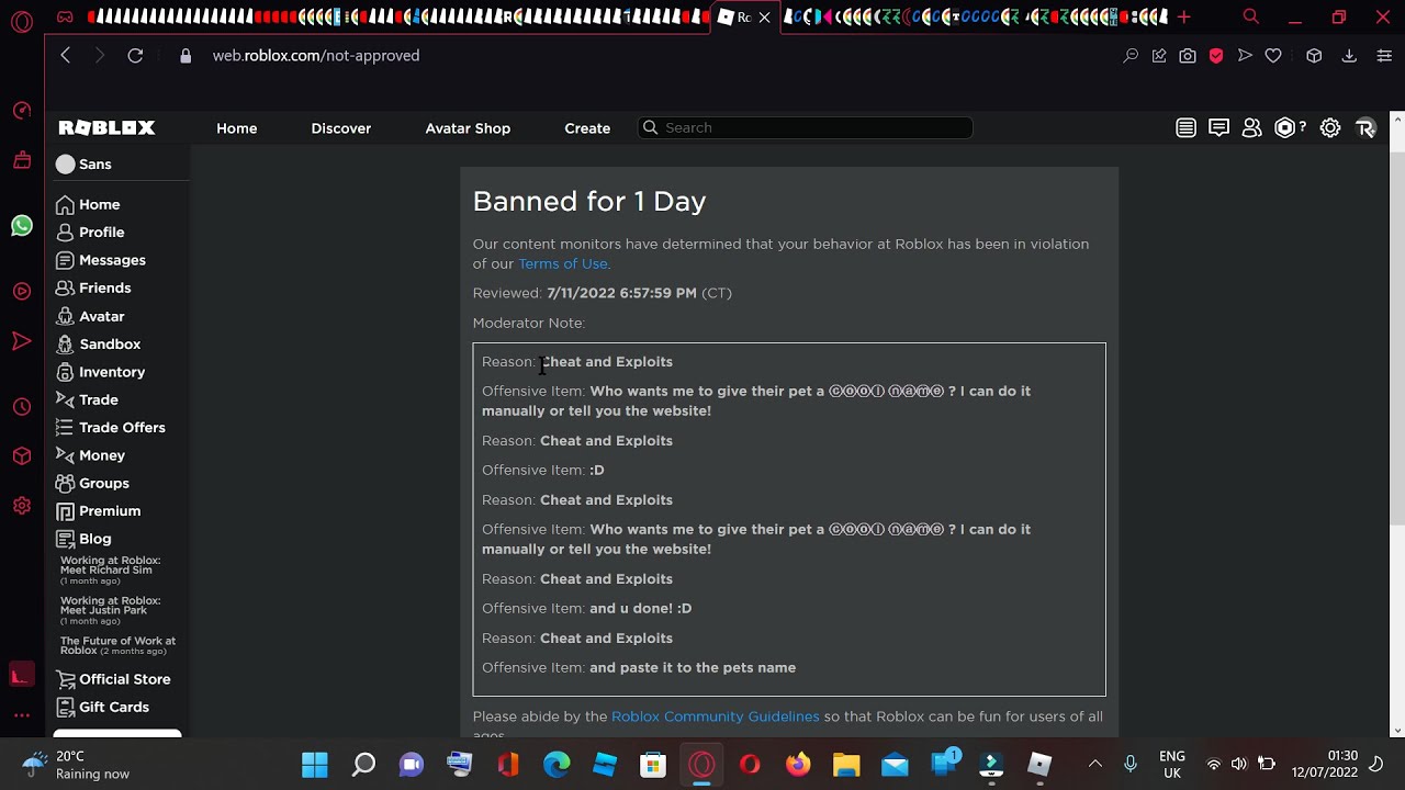 I got banned AGAIN for 1 day from ROBLOX - YouTube