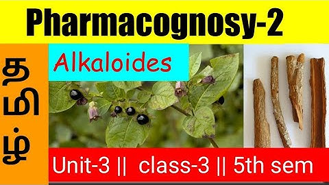 Alkaloids || pharmacognosy 2 || 5th sem || unit 3 || tamil